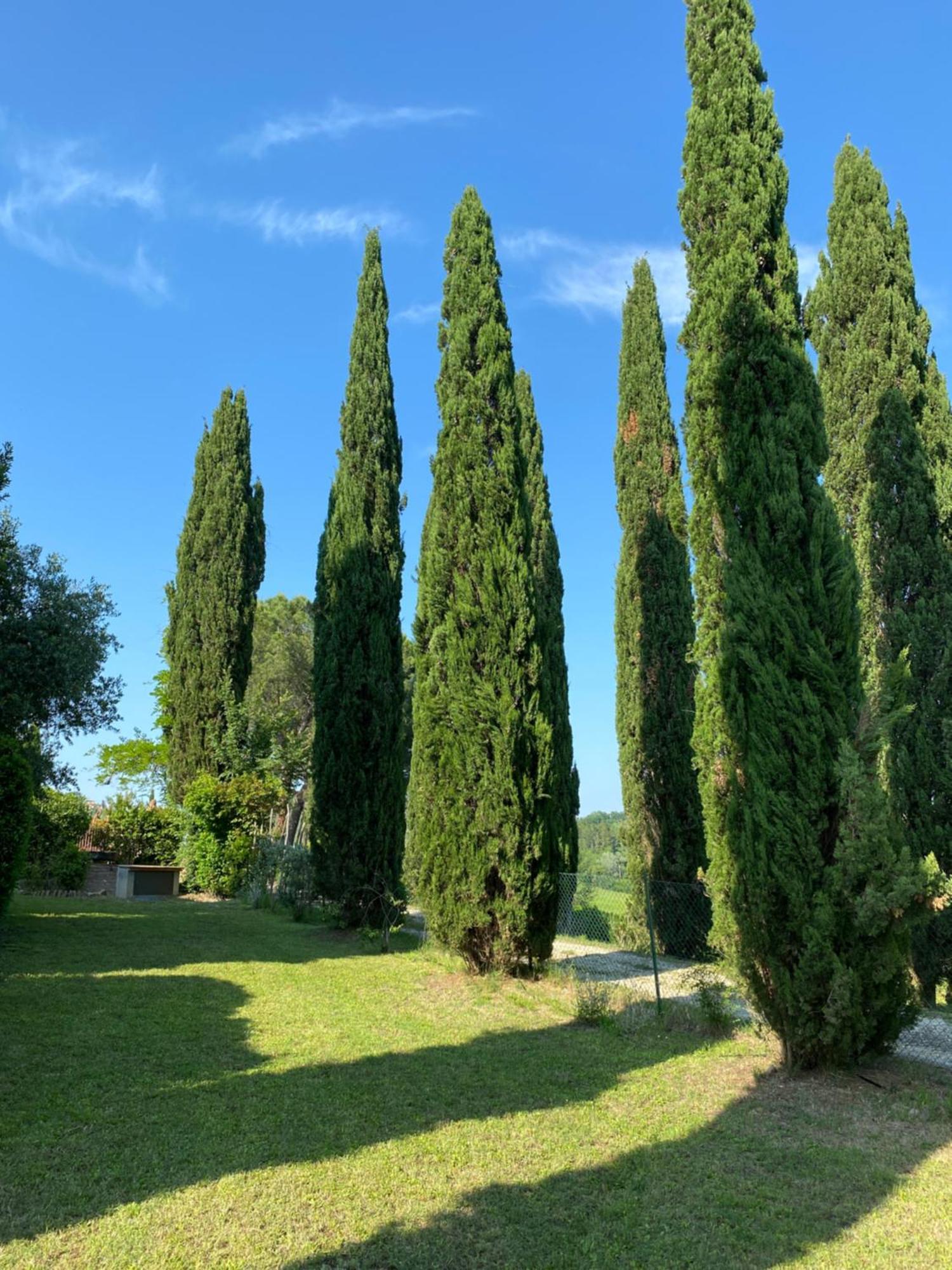 צ'רטאלדו Villa Tre Colli - In The Heart Of Tuscany מראה חיצוני תמונה
